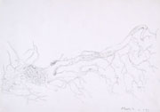 ANTON ZORAN MUSIC, Uprooted Tree, black chalk